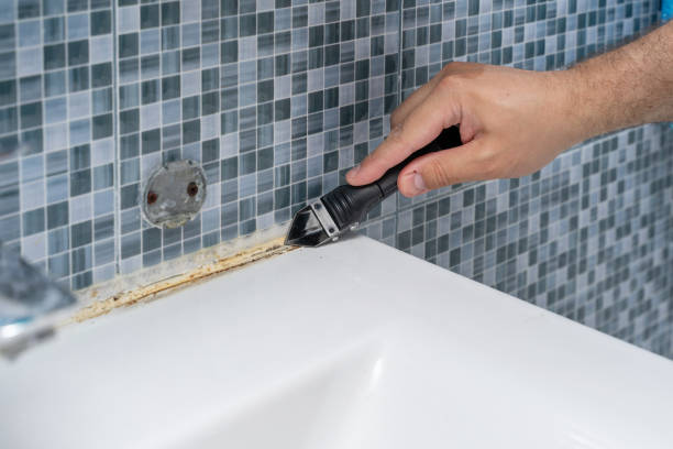 Best Mold Testing and Removal  in Laflin, PA