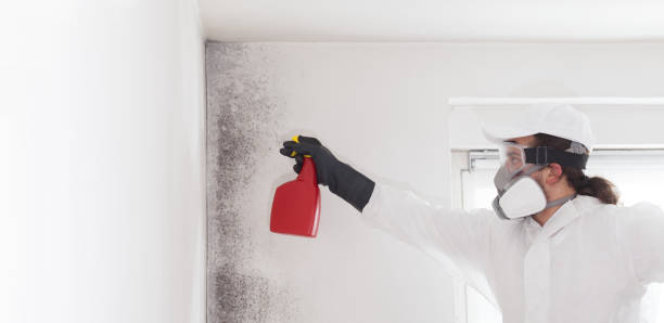 Best Commercial Mold Removal  in Laflin, PA